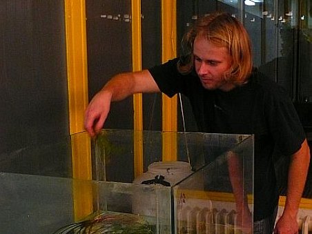 Do burzy zbývá pár desítek minut a Zbyněk (Eff) si připravuje rostlinky k prodeji.