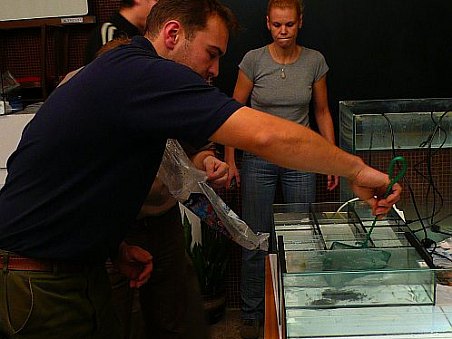 Příprava ryb k prodeji, Tomáš (T.O.M) v akci, v pozadí Marcela.