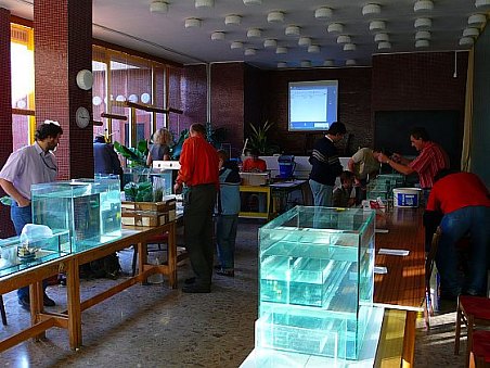 Celkový pohled do sálu.