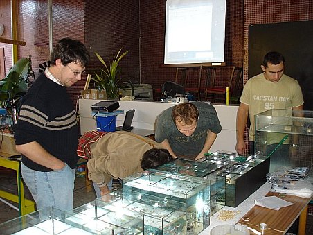 Ještě musely proběhnout poslední kontroly svěřenců - vše bylo v pořádku. Zleva Ondra (AndrewT),  ohnutý Tom (Pytel) a Roman a napravo Mirek (MK).