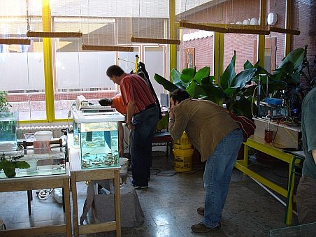 Na prodej se prostě připravovali všichni do poslední chvíle.