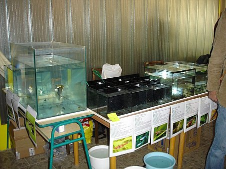 Celkový pohled na jedno prodejní místo