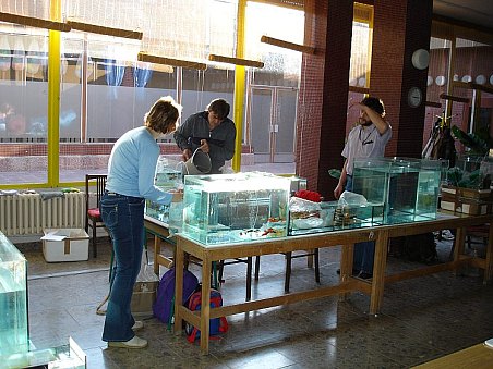 Konečně i Pepa se dostal k tomu, aby si připravil své prodejní místo.