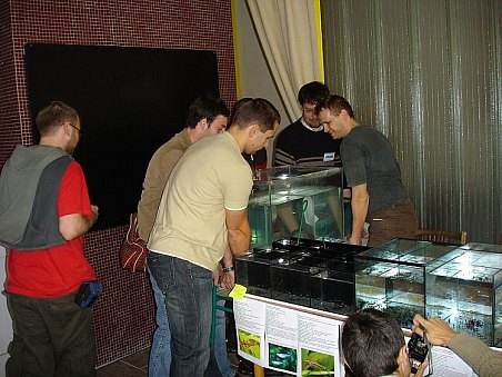 Až po napuštění nádrží se ukázalo, že ne vždy se pamatovalo na rozumný přístup na prodejní místa, takže to bylo nutné napravit. Na stěhování se podílí velká část realizačního týmu. Zleva Fido, Pytel, MK, za ním je schován ThomaZ, dále pak AndrewT a Roman.