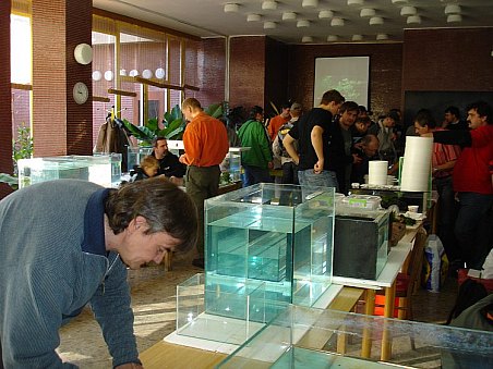 I když burza ještě nezačala, v sále se již objevili první nakupující.