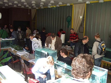 Fotografie z galerie 1. akva burza