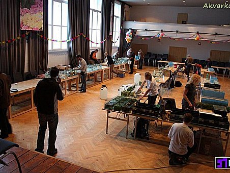 Přípravy před zahájením burzy.