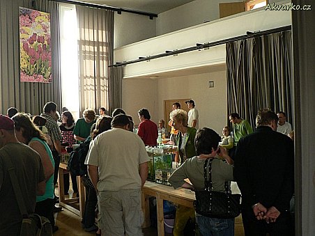 Krátce po otevření burzy