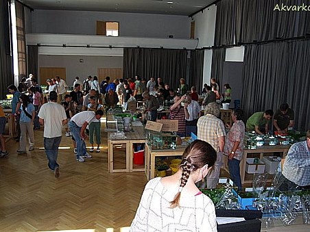 První návětěvníci se objevují na burze.