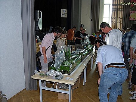 Tentokráte na burze dominovaly rostliny od AQUA-DAHO.