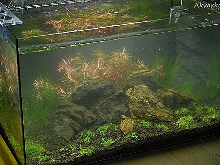 A toto je výsledek Khanhova a ThomaZova snažení.