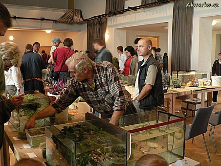 Stálí prodejci na brněnské burze - pánové Nožička a Šabršula.