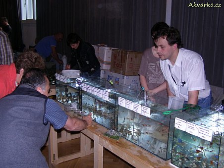 Tomáš a Vladi Chuchlíkovi z Bohuňova.