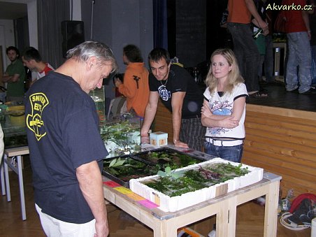 Zuzana Rindová z Jaroměře a její rostlinky.