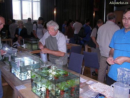 Pan Jiří Pechman Z Brna.