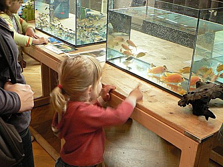 Tuhle rybičku bych chtěla!