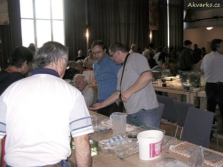 Zdeněk Beier ze Starovic a jeho bojovnice pestré.