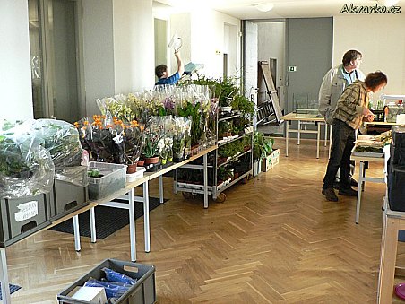 Happy fish - stánek s rostlinami