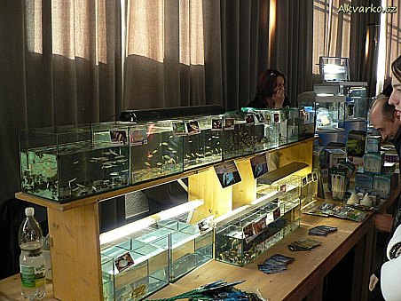 Nabídka Milana Líbala