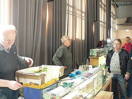 Členové klubu.akva.sk z Bratislavy (Ivan Vyslúžil a Dušan Andris)