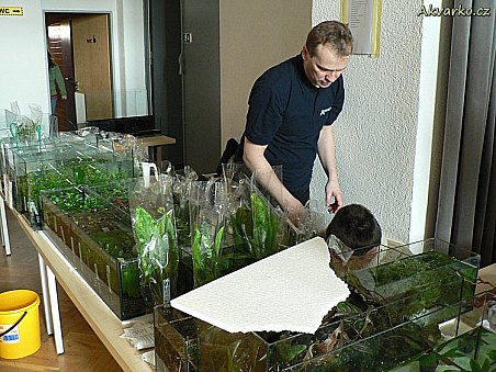 Rostliny převážně od Rataje