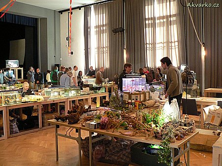 Stánek Radima Dardy