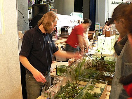 Eff jako muž za pultem :-)