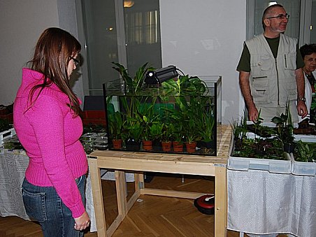 I Katce se u Akvaru líbilo.