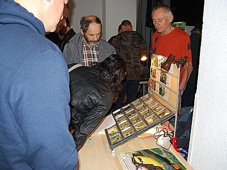 Pan Makovec a paní Křížová a jejich šípové žabičky.