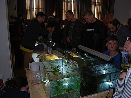 U stánku akvaklubu bylo taky plno.