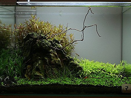 1. místo - Ráj krevetek - Roman Holba