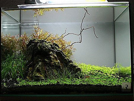 1. místo - Ráj krevetek - Roman Holba