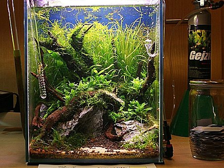 2. místo - Hero - Adam Votava