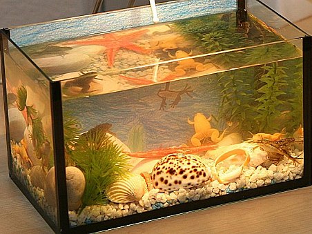 4. místo - Žabičky - Dominik Švancara