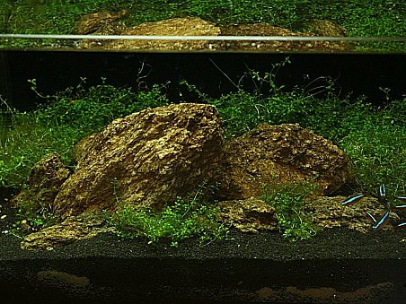 5. místo - IWAGUMI - Tomáš Kubík