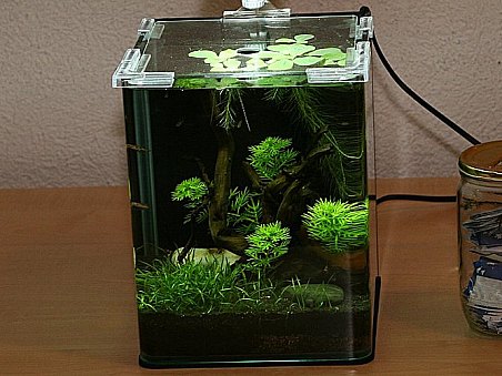 6. místo - NANOCUBE aneb Prcek do kuchyně - Roman Minařík