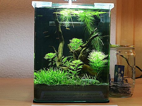 6. místo - NANOCUBE aneb Prcek do kuchyně - Roman Minařík