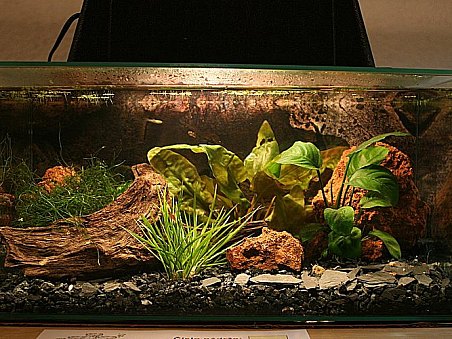 7. místo - U Ivčina pařezu - Lucie Plhalová