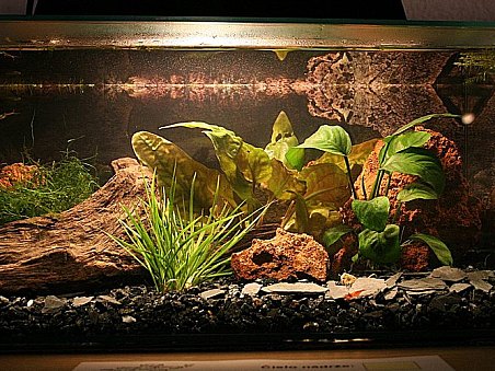 7. místo - U Ivčina pařezu - Lucie Plhalová