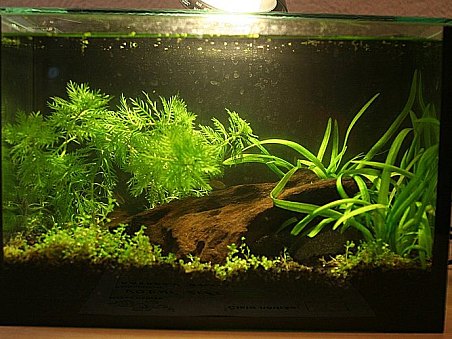 10. místo - Vodní svět - Radek Voda