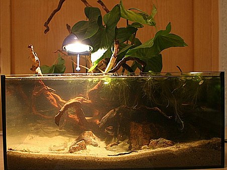 11. místo - Tůň - Tomáš Kubík