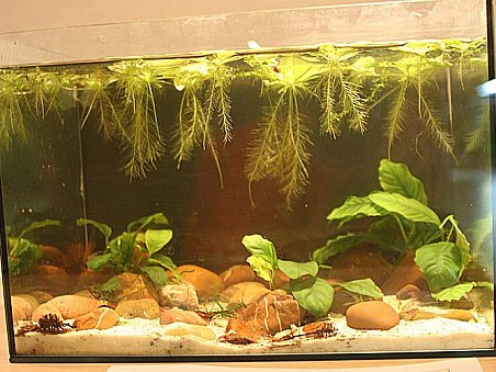 12. místo - Červená řeka - Martina Čížková