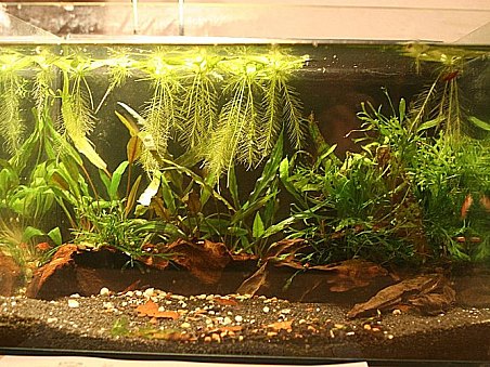 13. místo - Temný břeh - Martina Čížková