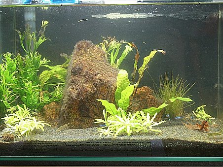 15. místo - Relaxační pracovní nádržka - Veronika Jandová