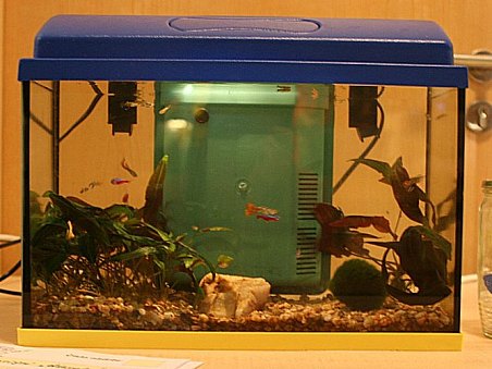 16. místo - Akvarijní džungle - Zdeněk Peterka