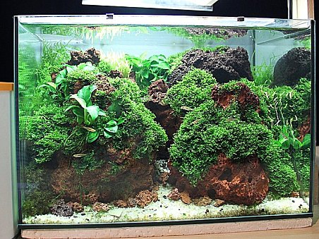 Výstava miniakvárií 2013