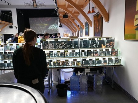 Fotografie z galerie 51. akva burza