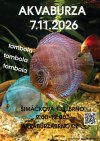 Leták aktuální burzy